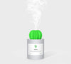 Cool mist cactus diffuser close-up