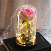 Immortal LED rose glass dome ornament