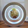 magnetic floating earth globe decor
